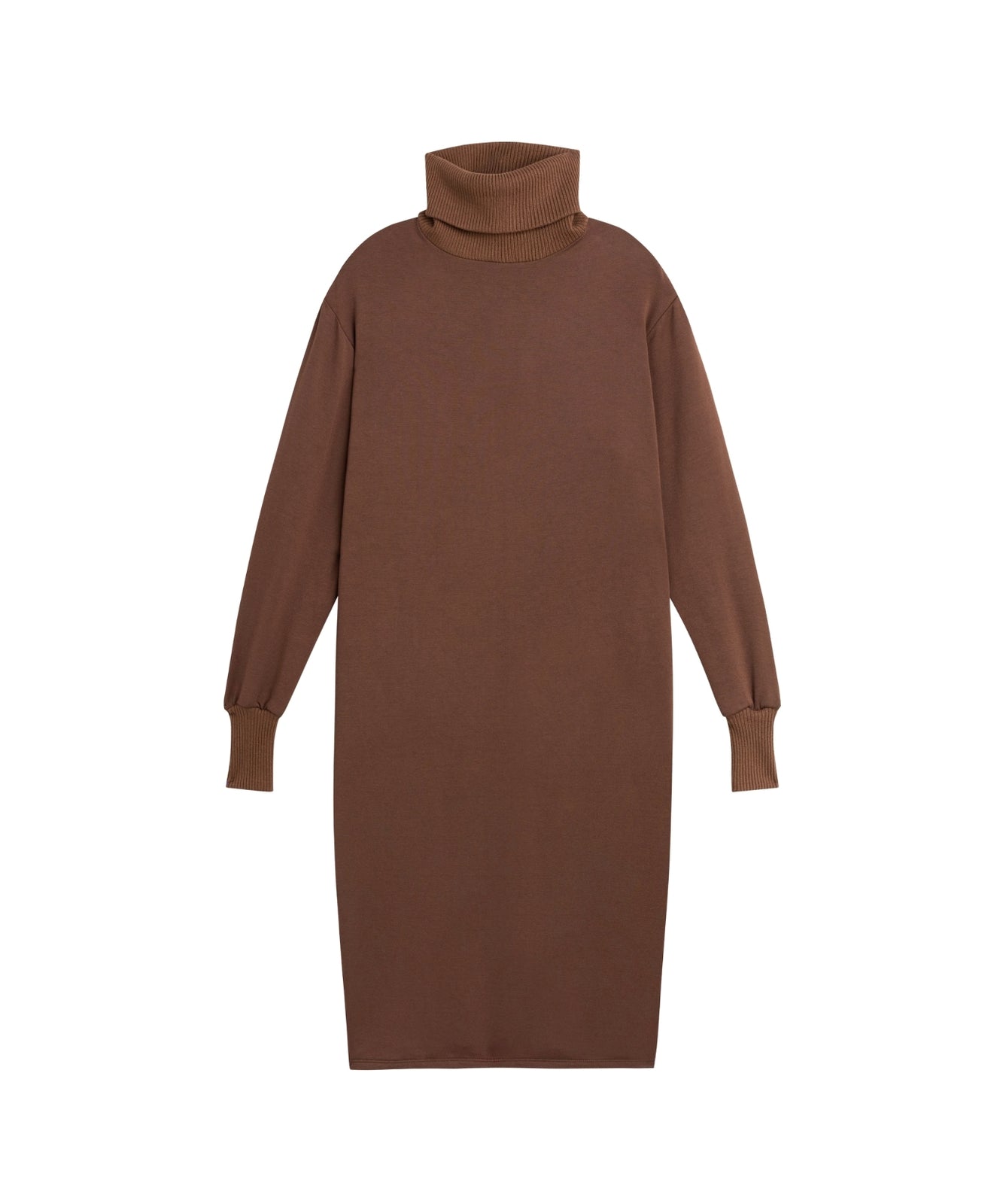 Mila Turtleneck Dress