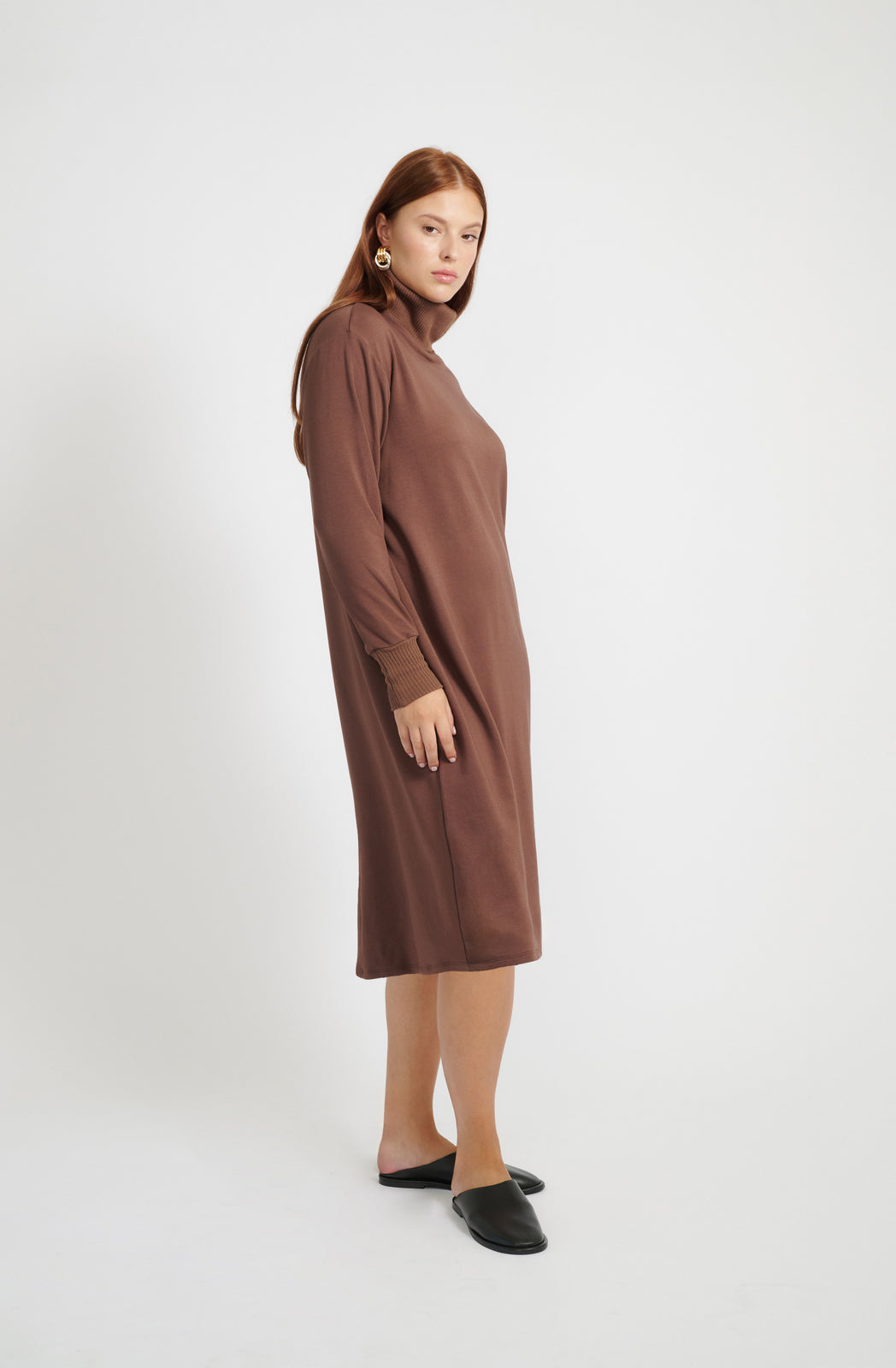 Mila Turtleneck Dress