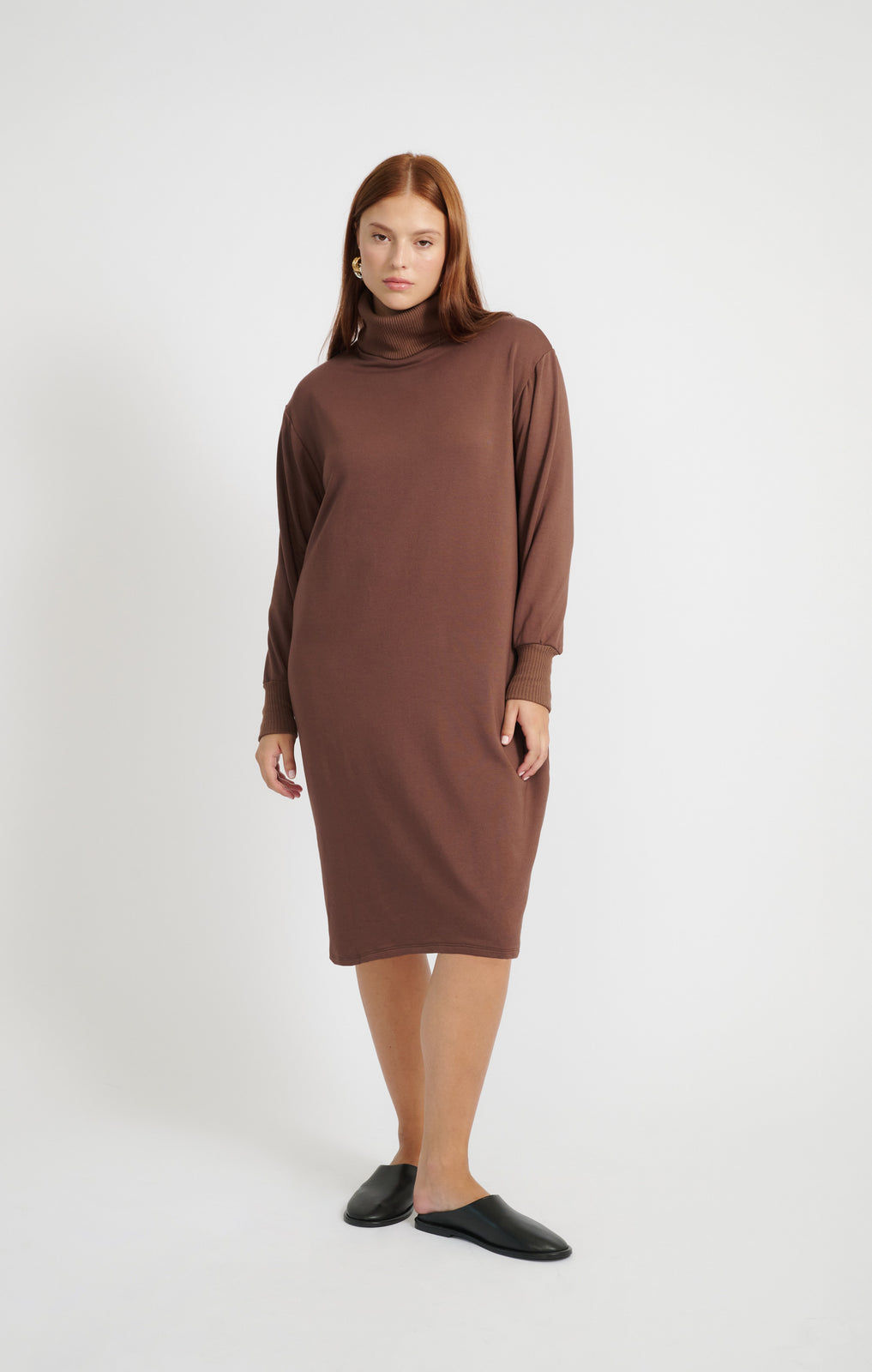 Mila Turtleneck Dress