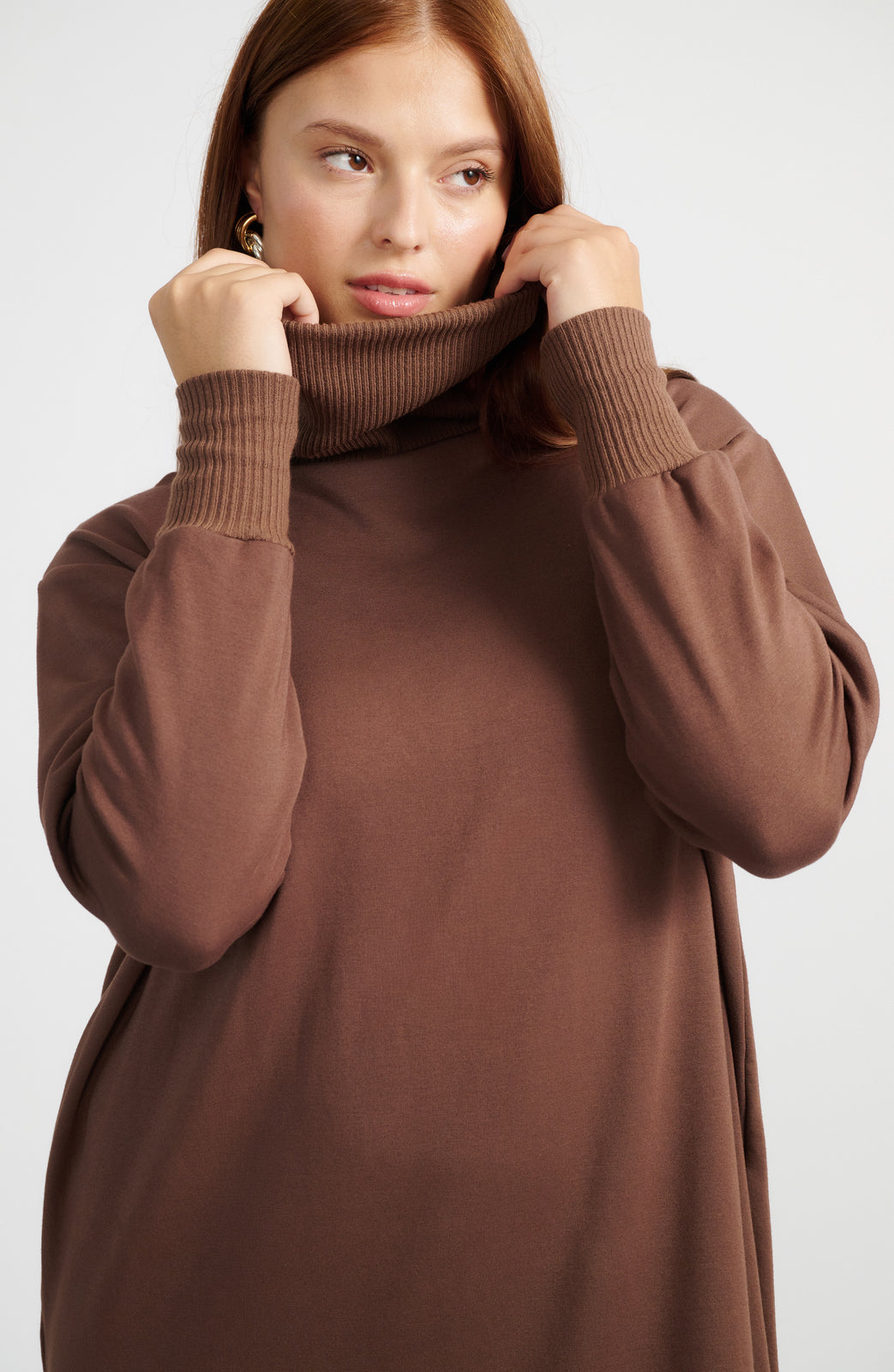 Mila Turtleneck Dress
