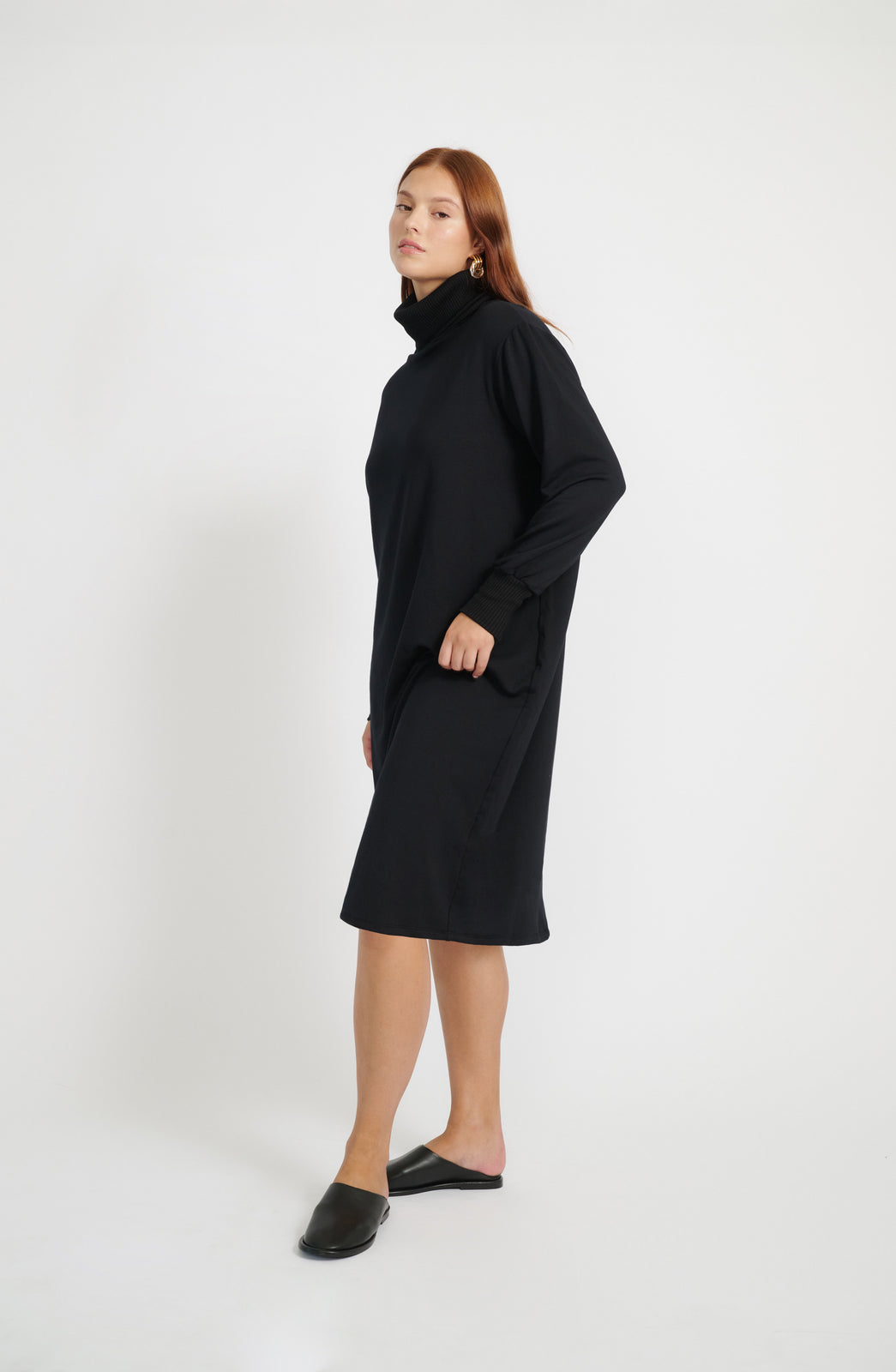 Mila Turtleneck Dress