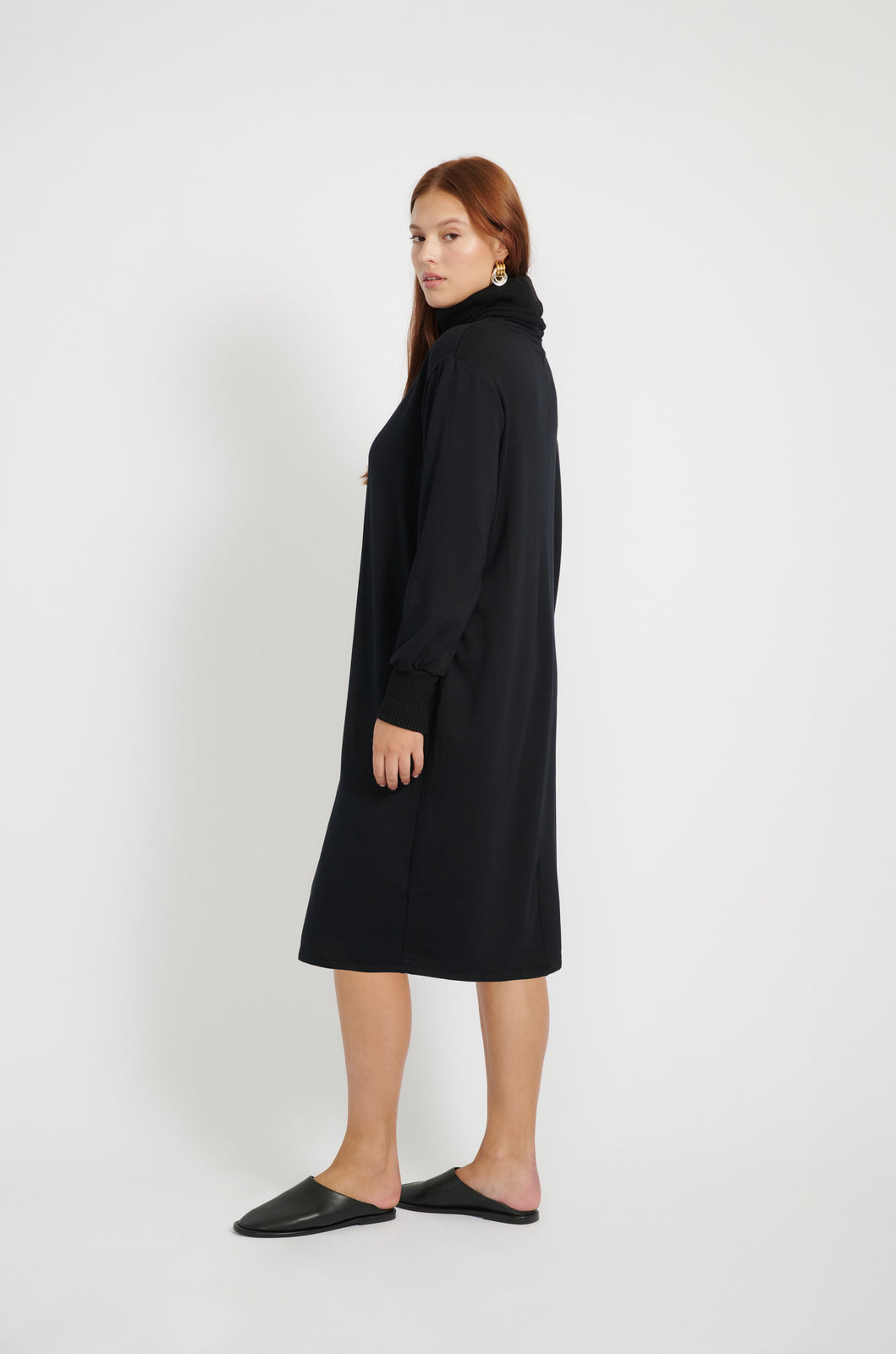 Mila Turtleneck Dress